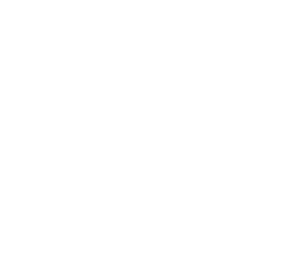 Google Premier Partner